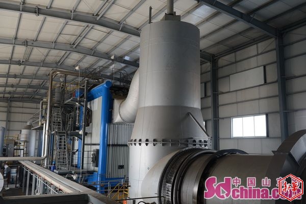 1513415917348041.jpg 2.jpg